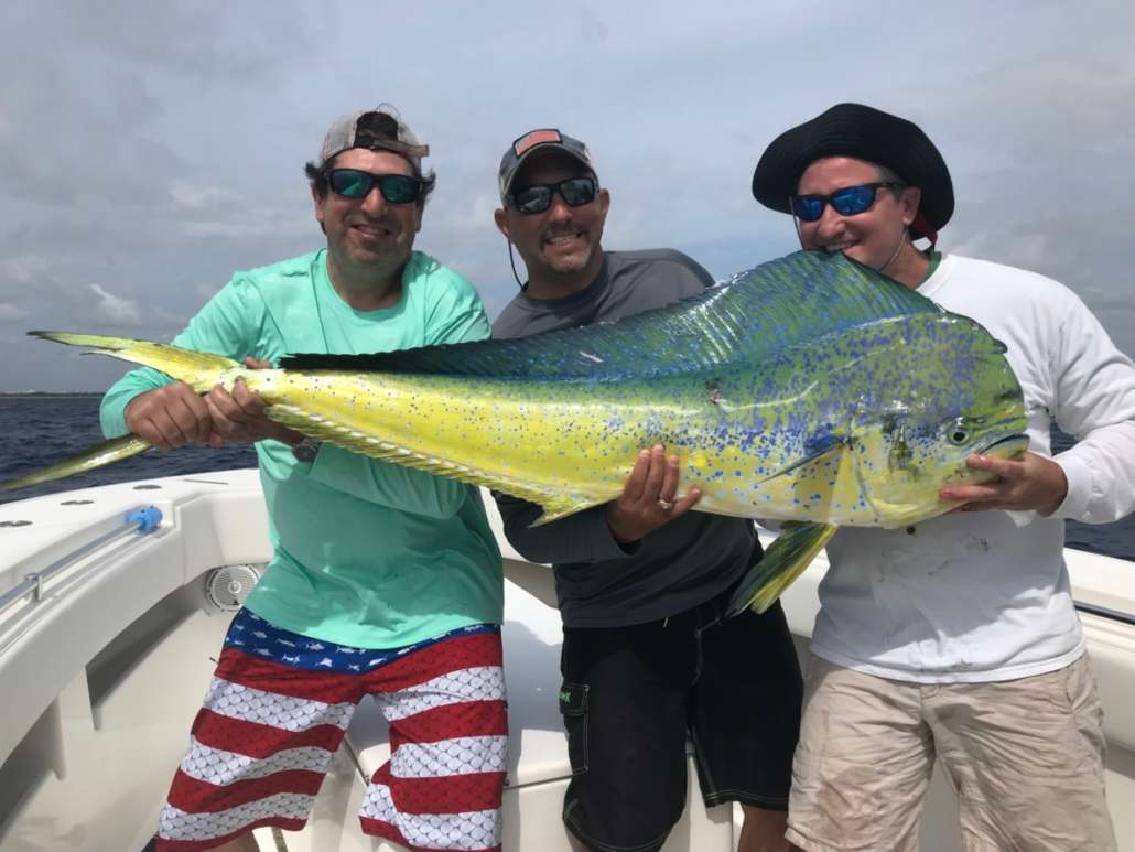 dolphin fishing charter